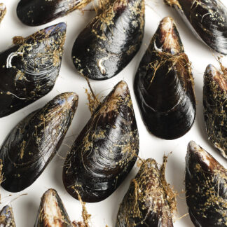 Mejillón